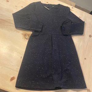 Madewell dress NWT size 10